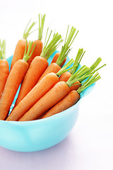 Image showing fresh carrots