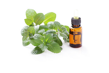 Image showing mint essential oil