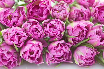 Image showing lovely pink