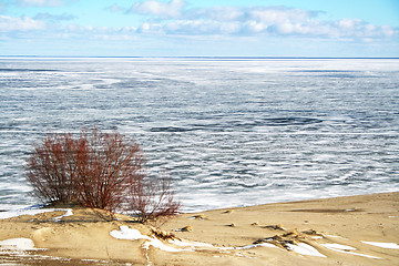 Image showing Russia. Coastline in winter on the Kurshskaya kosa