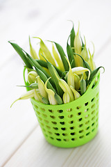 Image showing green and yellow beans