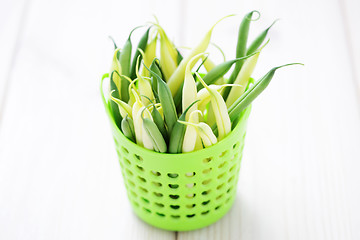 Image showing green and yellow beans