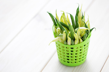 Image showing green and yellow beans