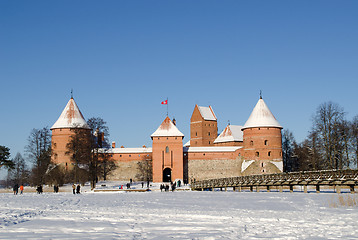 Image showing frozen lake tourists recreate castle Trakai winter 