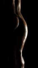 Image showing beautiful nude body