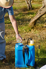 Image showing Working with pesticide