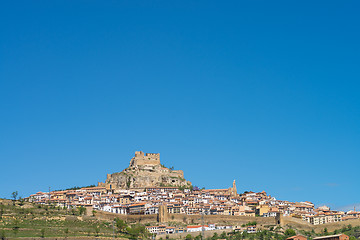 Image showing Morella