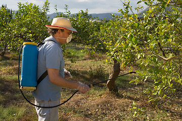 Image showing Spraying pesticide