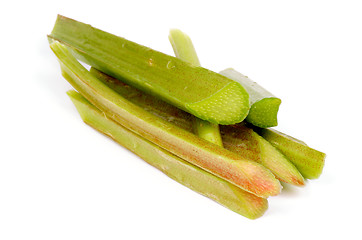 Image showing Rhubarb