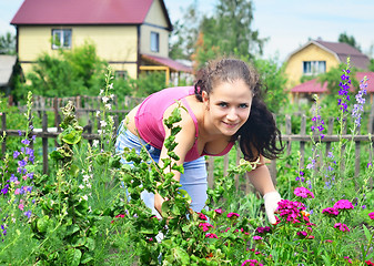 Image showing gardening