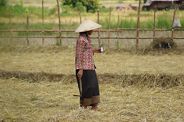 Image showing Rice Worker