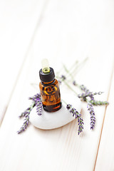 Image showing lavender essential oil 