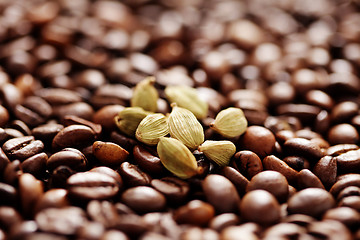Image showing coffee beans with cardamom