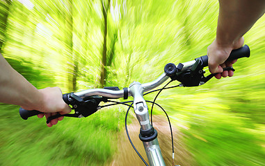 Image showing Riding bike through the forest