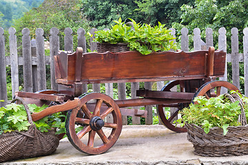 Image showing Wooden cart and wicker baskets in the back yard