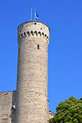 Image showing Toompea tower