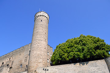 Image showing Toompea tower