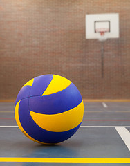 Image showing Blue and yellow ball on blue court at break time