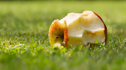 Image showing Eaten apple laying on the grass