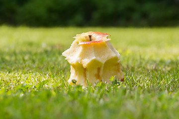 Image showing Eaten apple laying on the grass