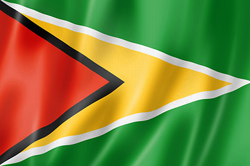 Image showing Guyanese flag