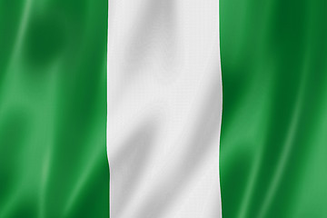 Image showing Nigerian flag