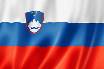 Image showing Slovenian flag