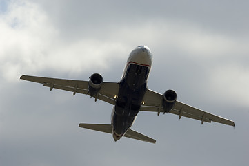 Image showing Flying high