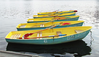 Image showing Standing in a row boat on the river