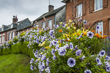 Image showing Flowers and houses in Lyons la Foret