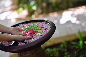 Image showing female hand and flower in water