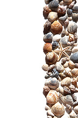 Image showing sea shells and star 