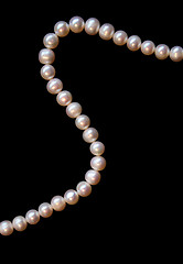 Image showing White pearls on the black silk 