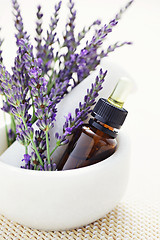 Image showing lavender and mortar and pestle