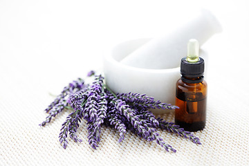 Image showing lavender and mortar and pestle