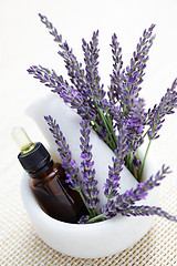 Image showing lavender and mortar and pestle