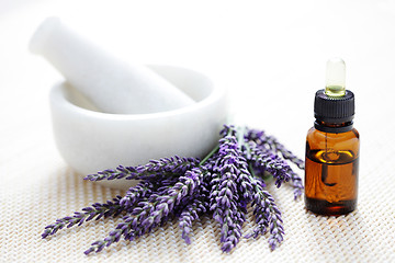 Image showing lavender and mortar and pestle