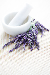 Image showing lavender and mortar and pestle