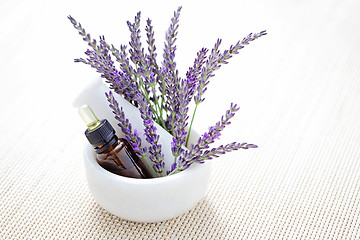 Image showing lavender and mortar and pestle