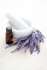 Image showing lavender and mortar and pestle