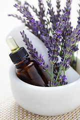 Image showing lavender and mortar and pestle