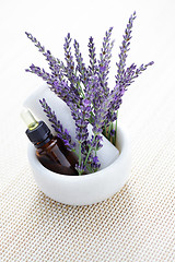 Image showing lavender and mortar and pestle
