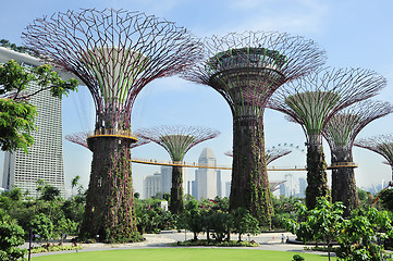 Image showing Gardens by the Bay