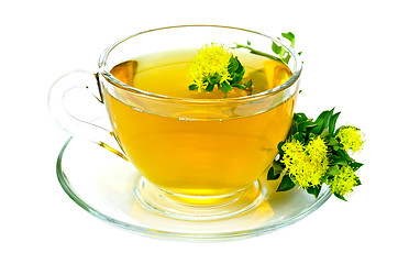 Image showing Herbal tea with flowers Rhodiola Rosea on saucer