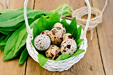 Image showing Eggs quail in a white basket with sorrel on the board