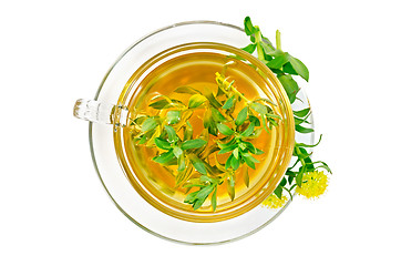 Image showing Herbal tea with Rhodiola Rosea top