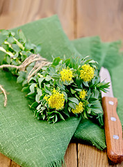 Image showing Rhodiola rosea on the green napkin