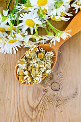 Image showing Herbal tea from chamomile dry and fresh on the spoon