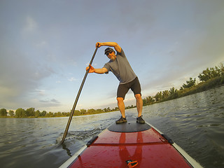 Image showing paddling stand up board