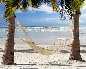 Image showing  Hammock  In The Tropical Beach
